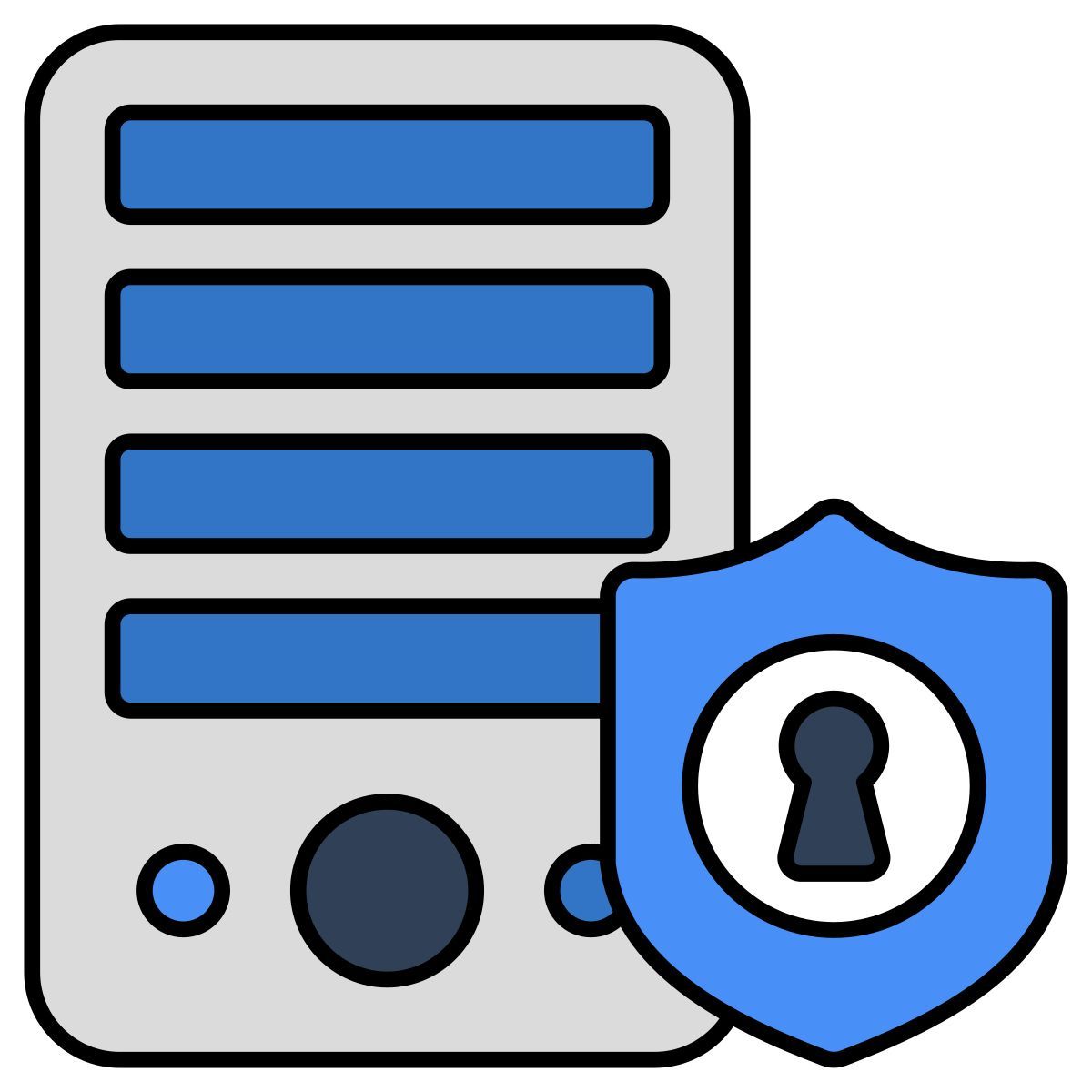 segurança do servidor icon