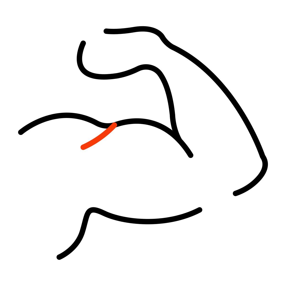 bíceps icon