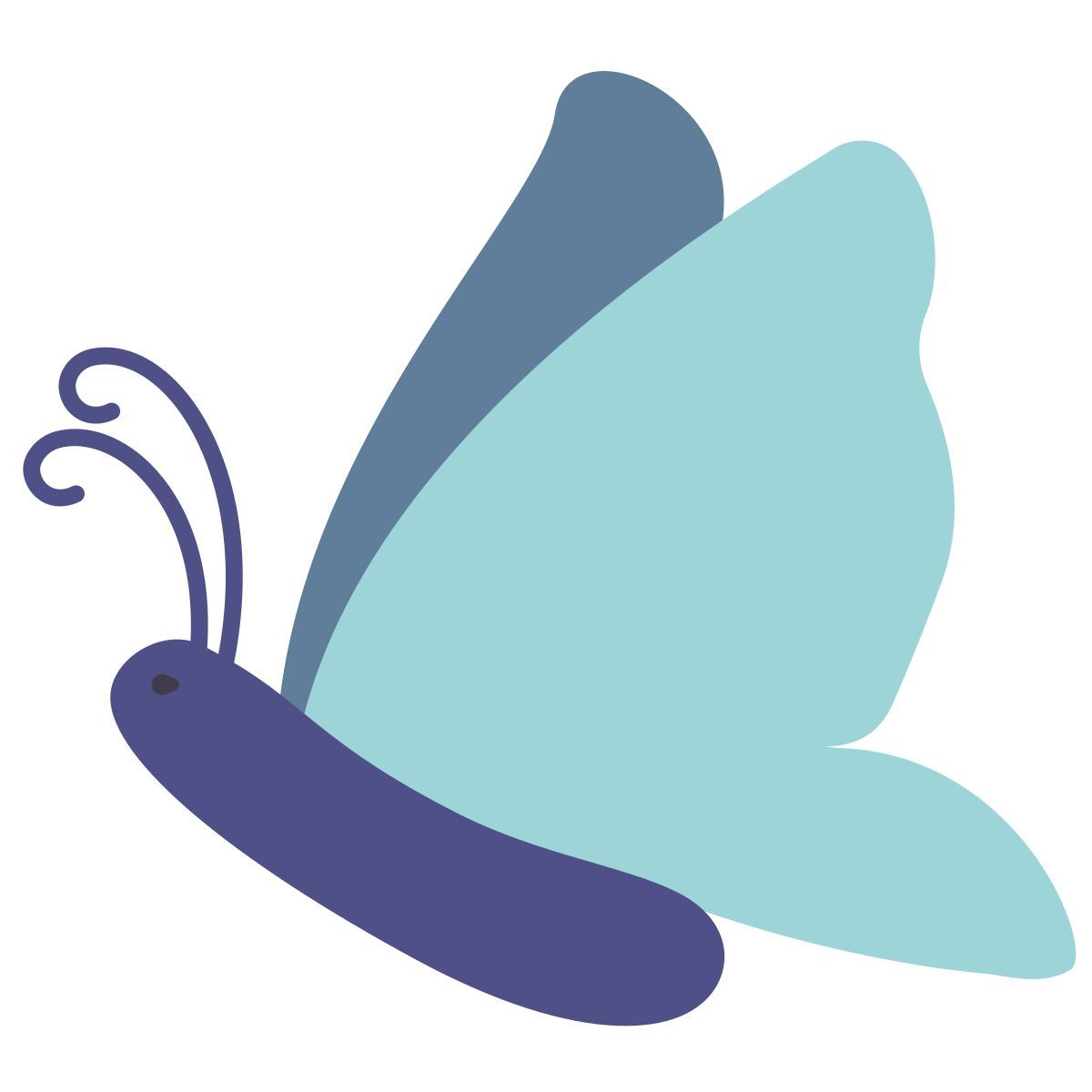 butterfly icon