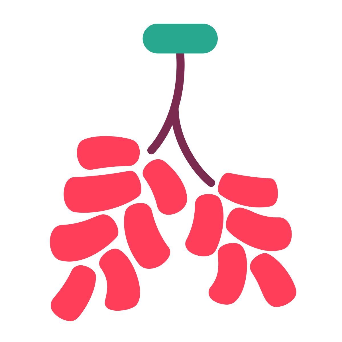 firecracker icon