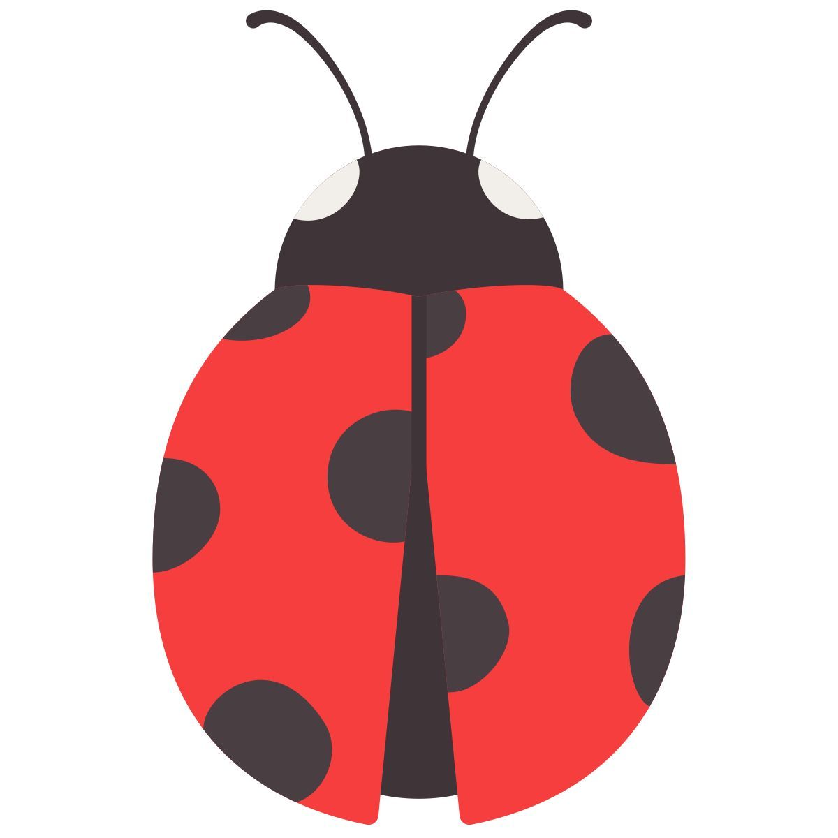 ladybug icon