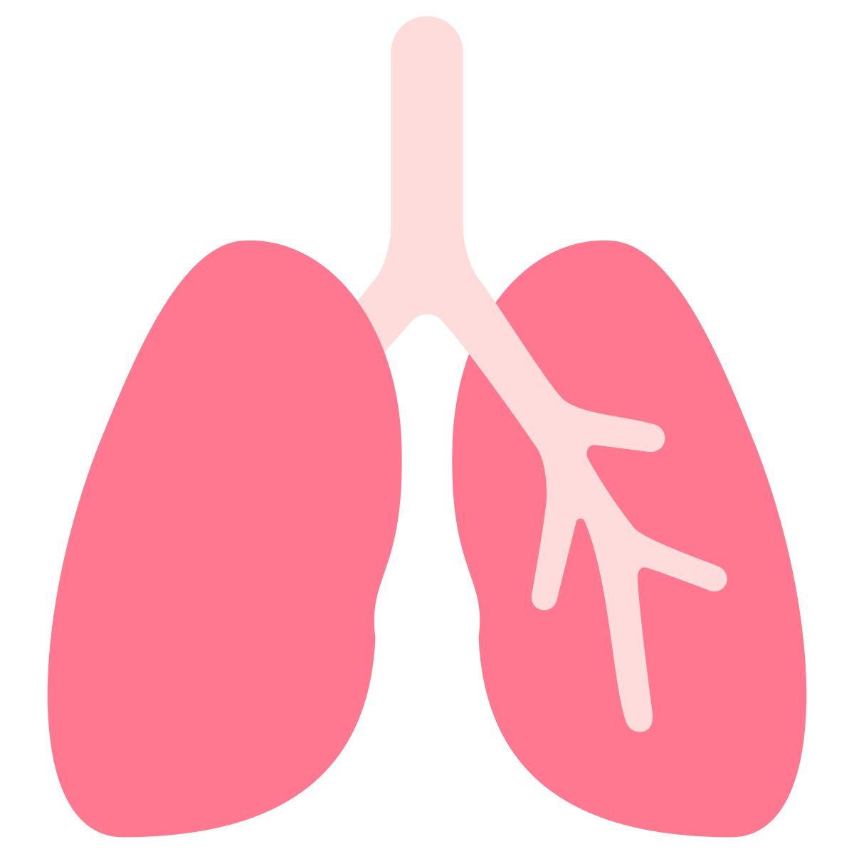lungs icon