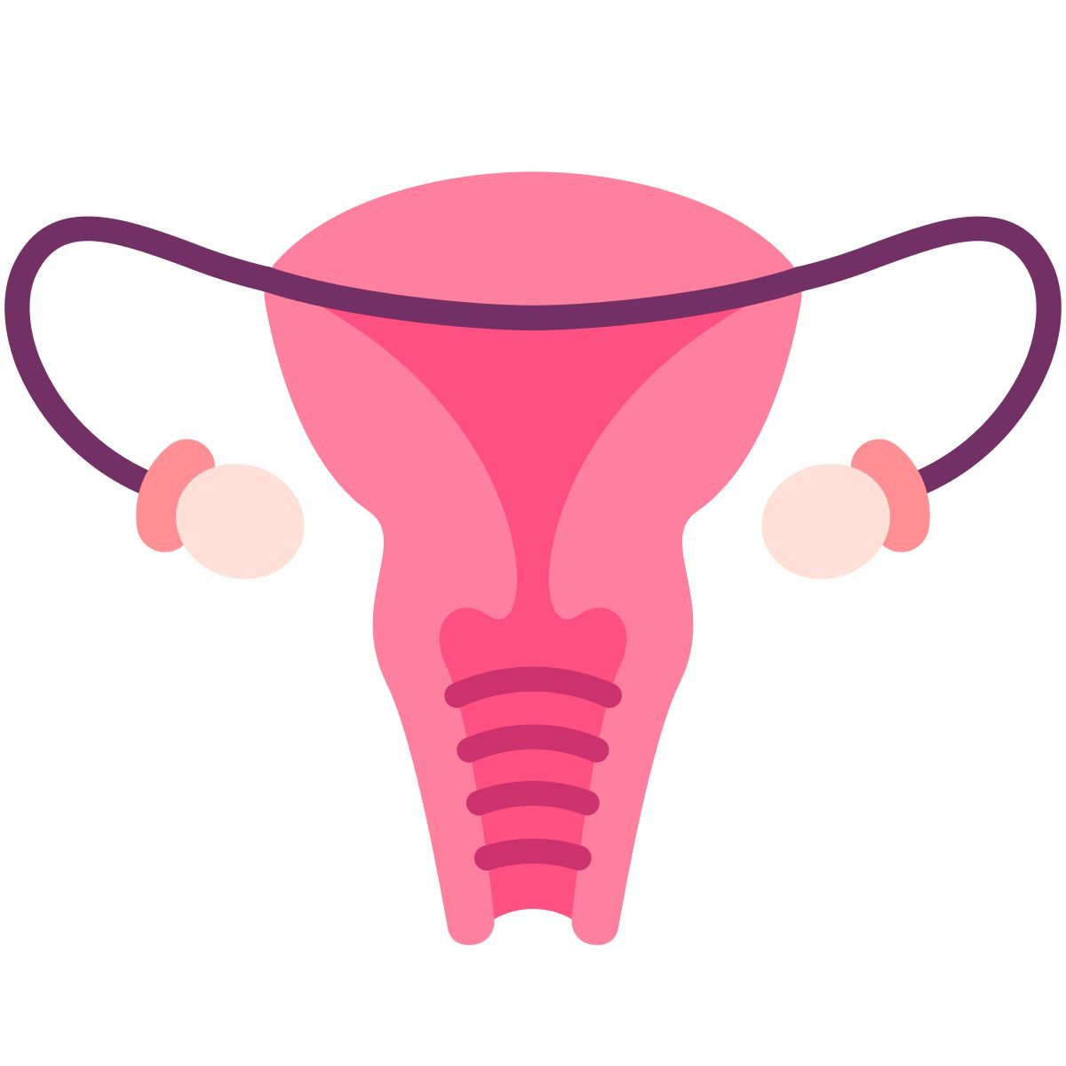 ovary icon