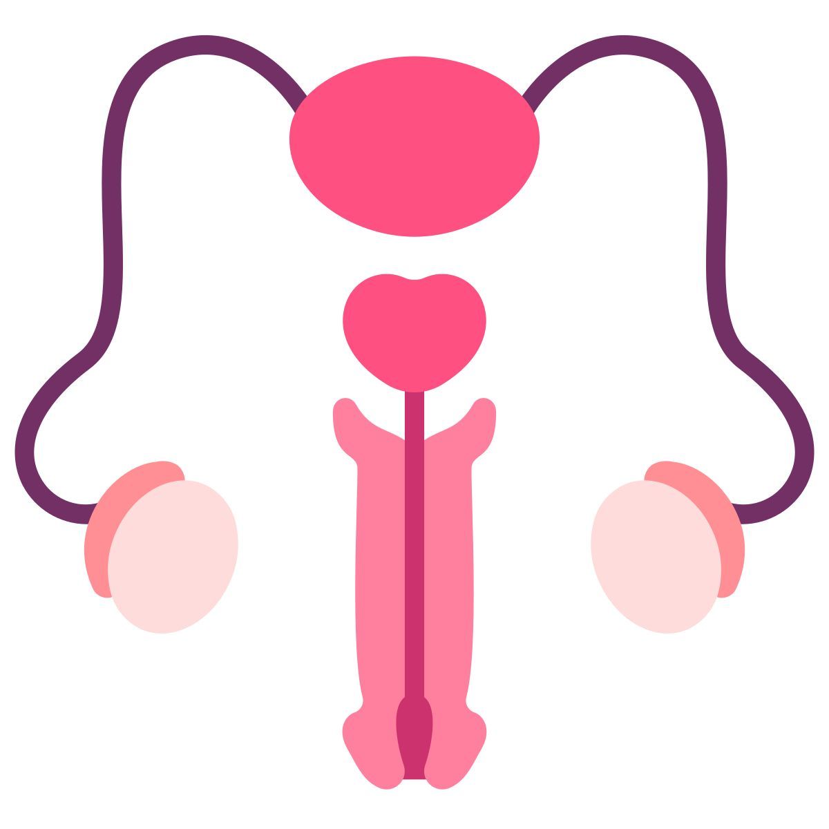 sistema reprodutivo icon