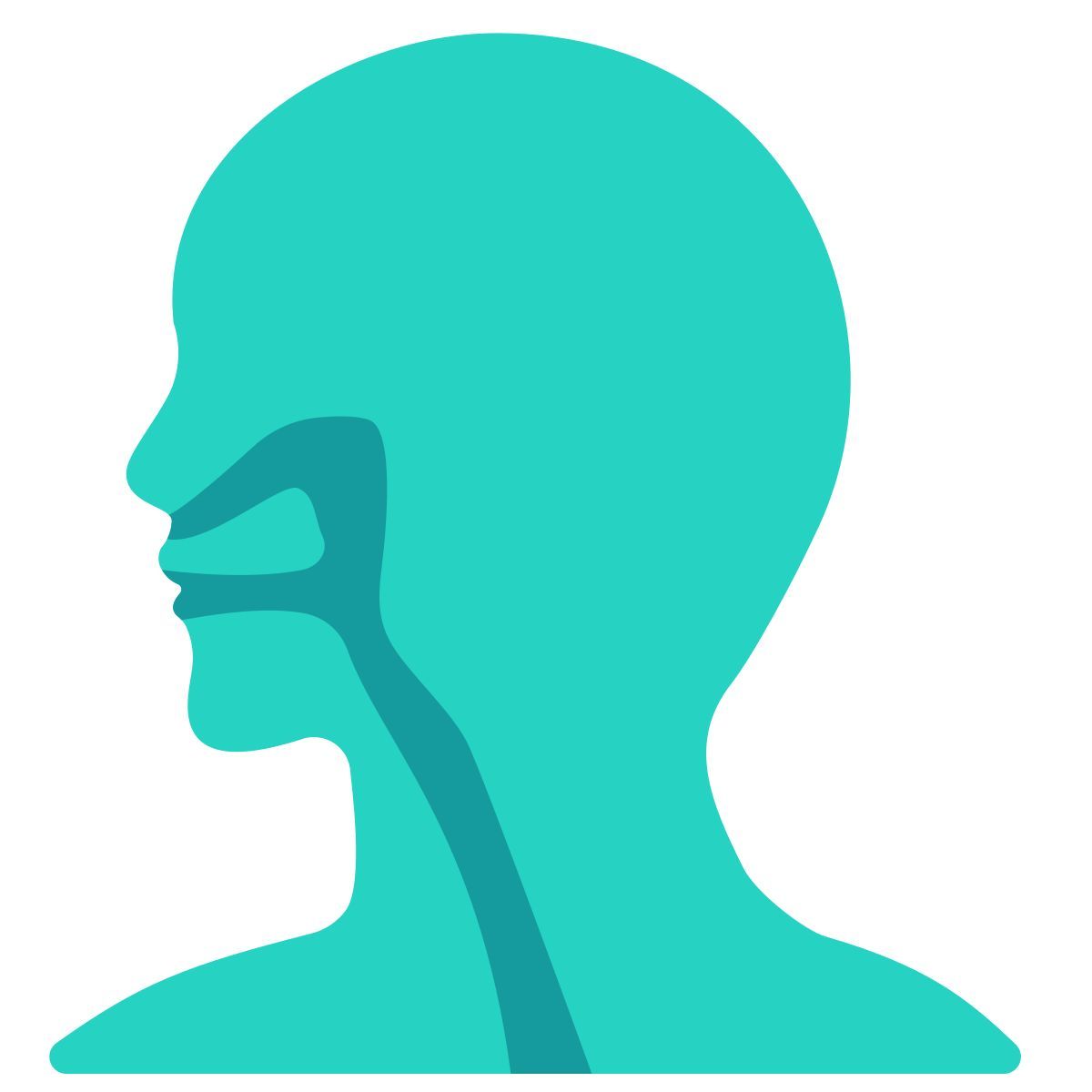 sistema respiratorio icon