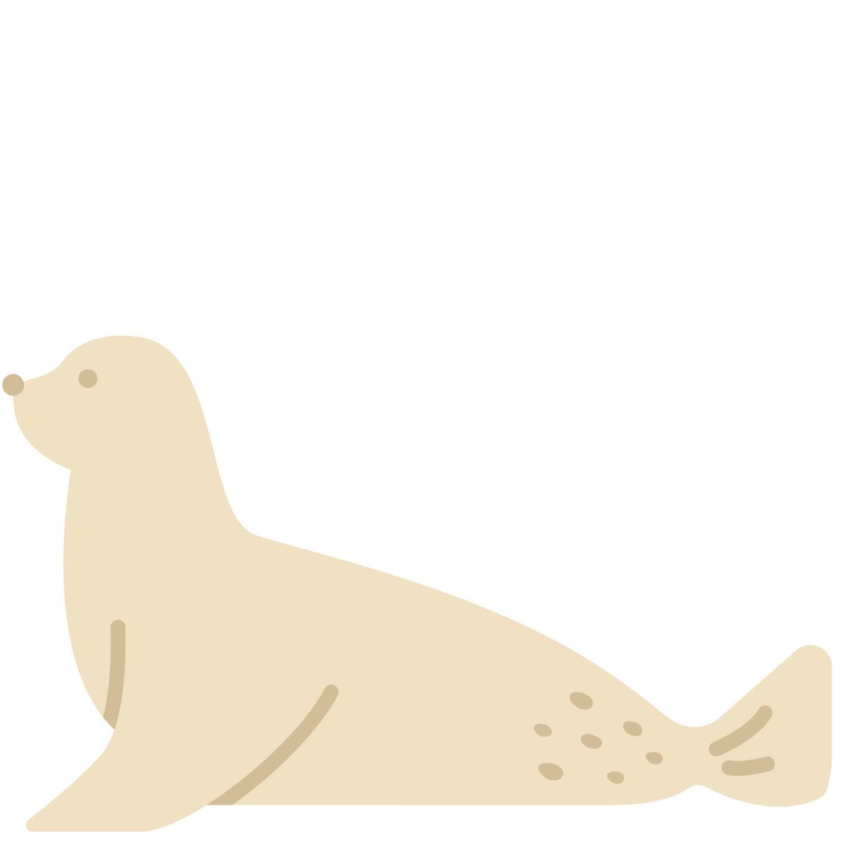 seal icon
