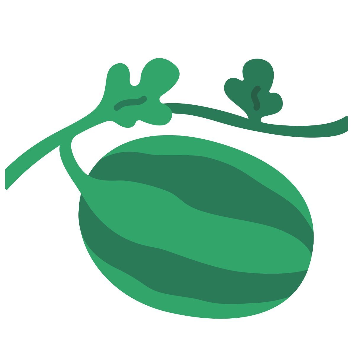 watermelon icon