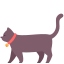 external cat-animals-victoruler-flat-victoruler icon