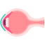 external eye-internal-human-organs-victoruler-flat-victoruler icon