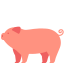 external pig-animals-victoruler-flat-victoruler icon