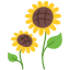external sunflower-farming-victoruler-flat-victoruler icon