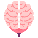 external brain-internal-human-organs-victoruler-flat-victoruler icon