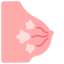 external breast-internal-human-organs-victoruler-flat-victoruler icon