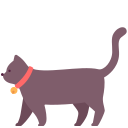 external cat-animals-victoruler-flat-victoruler icon