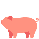 external pig-animals-victoruler-flat-victoruler icon