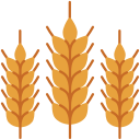 external wheat-farming-victoruler-flat-victoruler icon