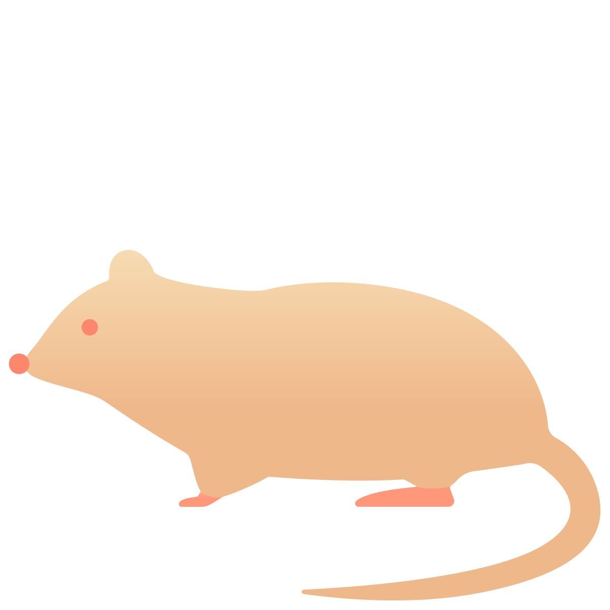 rat icon