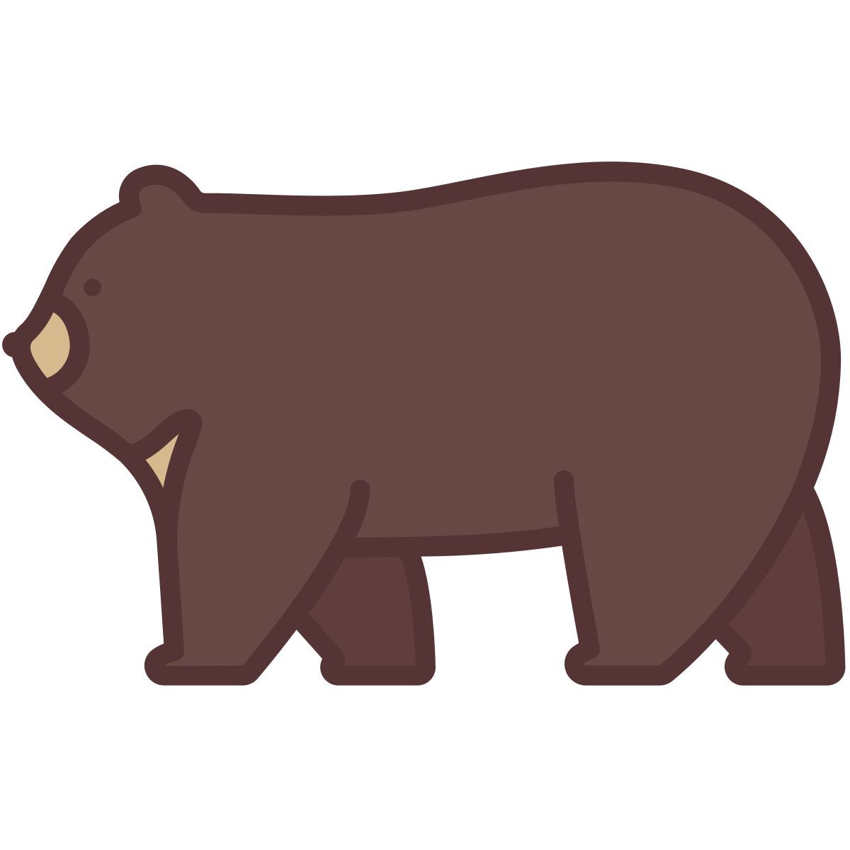 bear icon