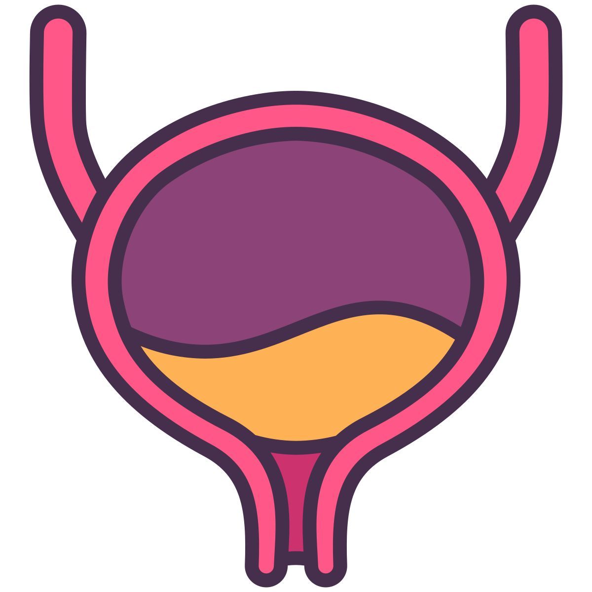 bladder icon