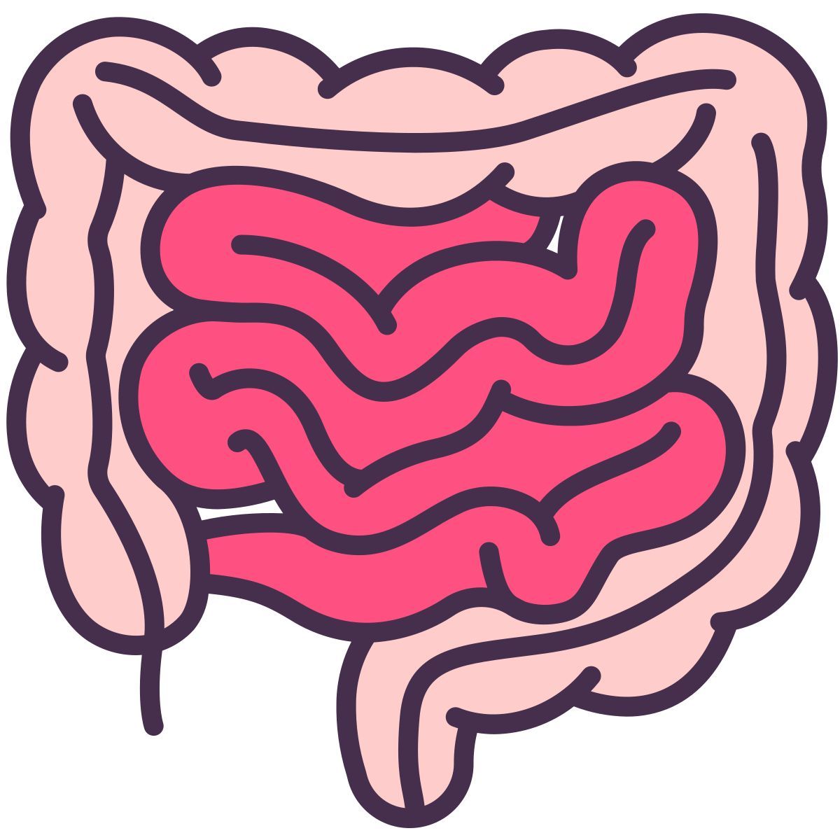 intestine icon