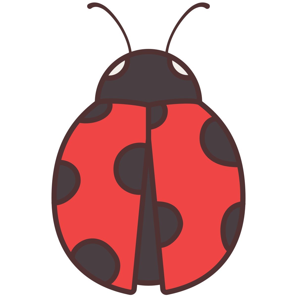 ladybug icon