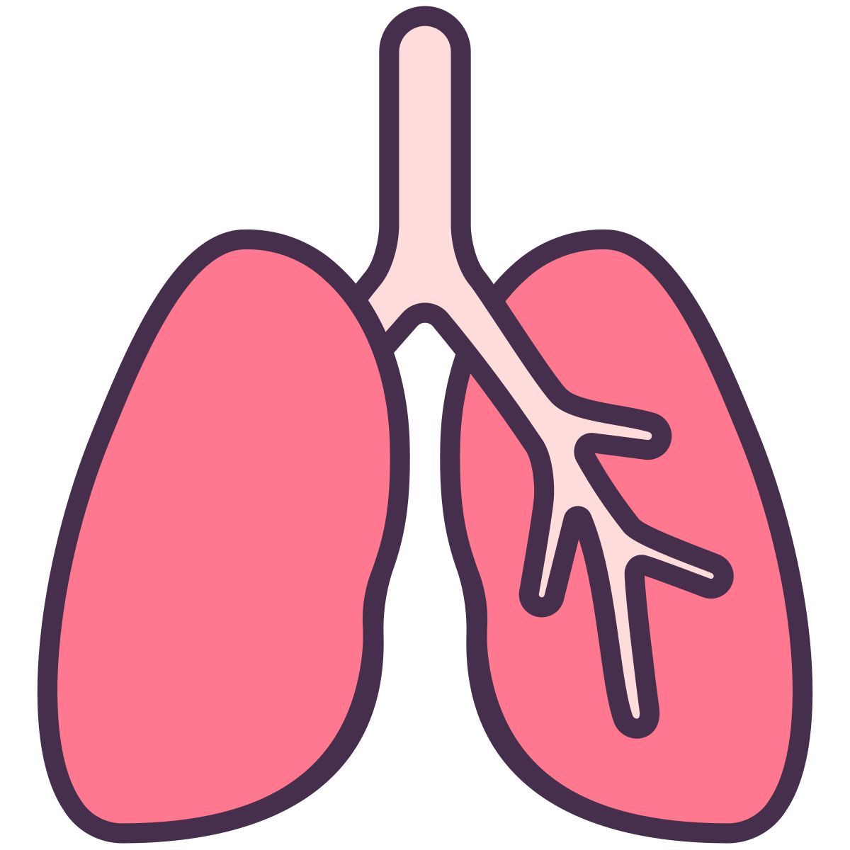 lungs icon