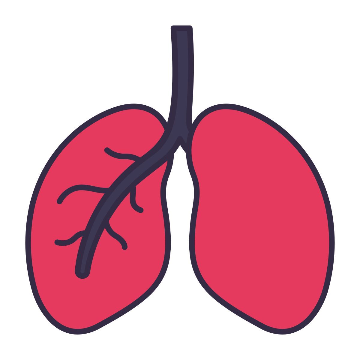 lungs icon
