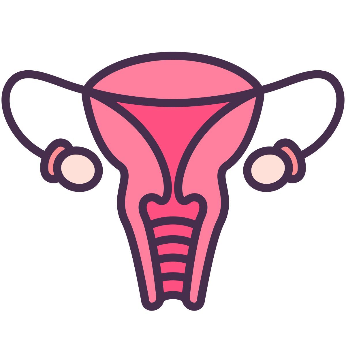 ovary icon