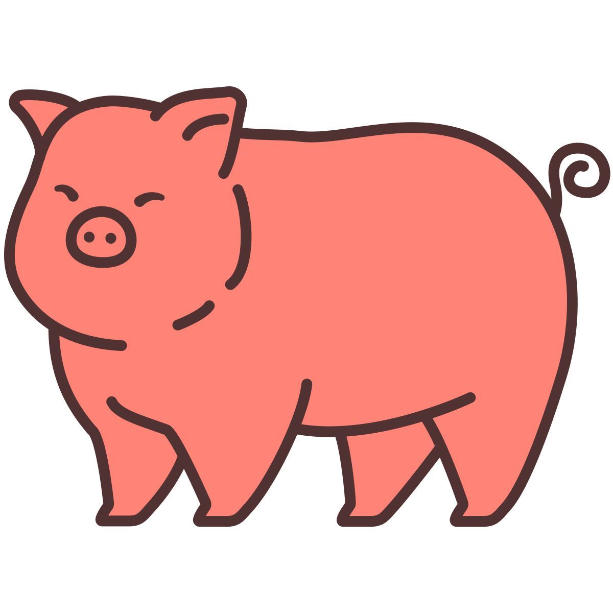 pig icon