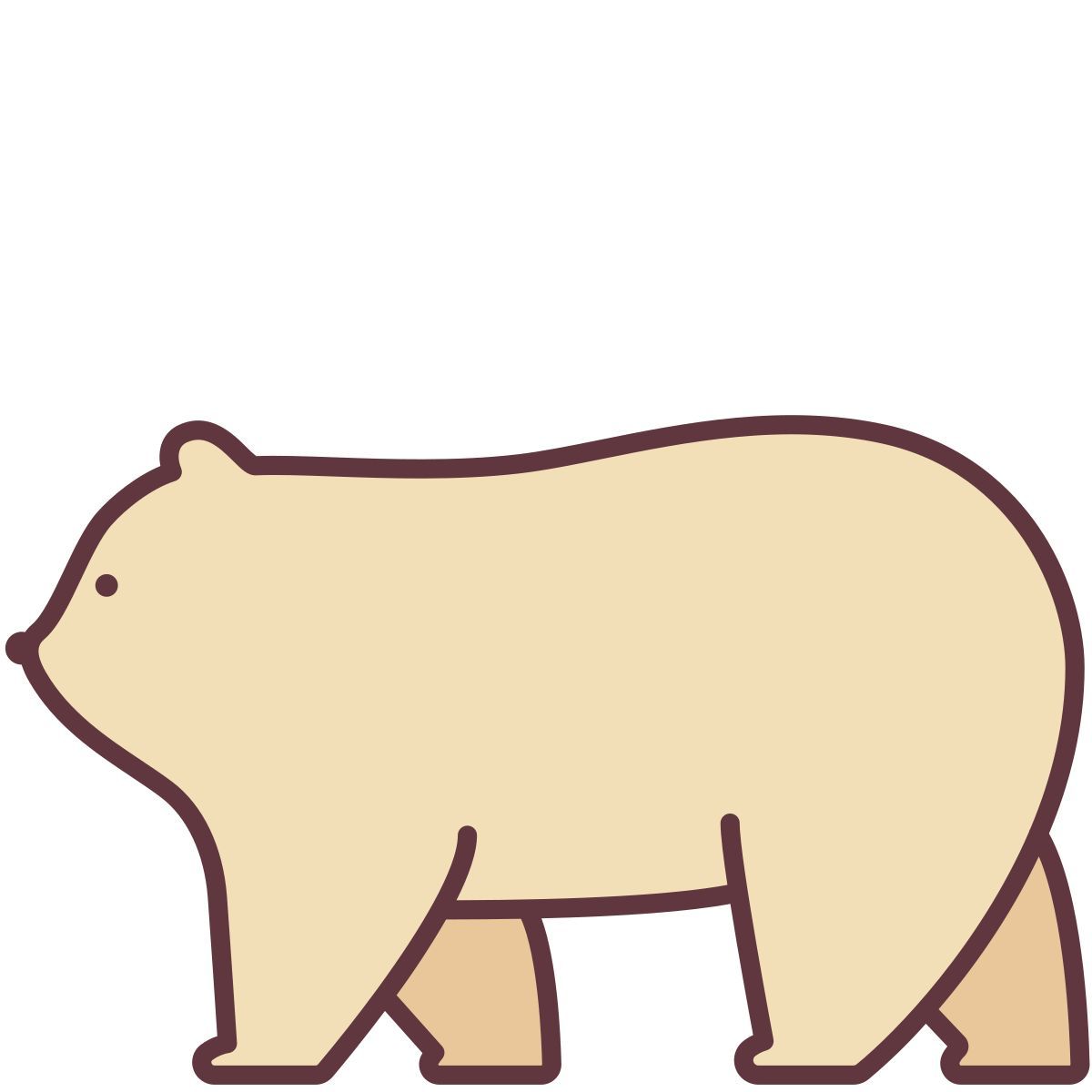 orso polare icon