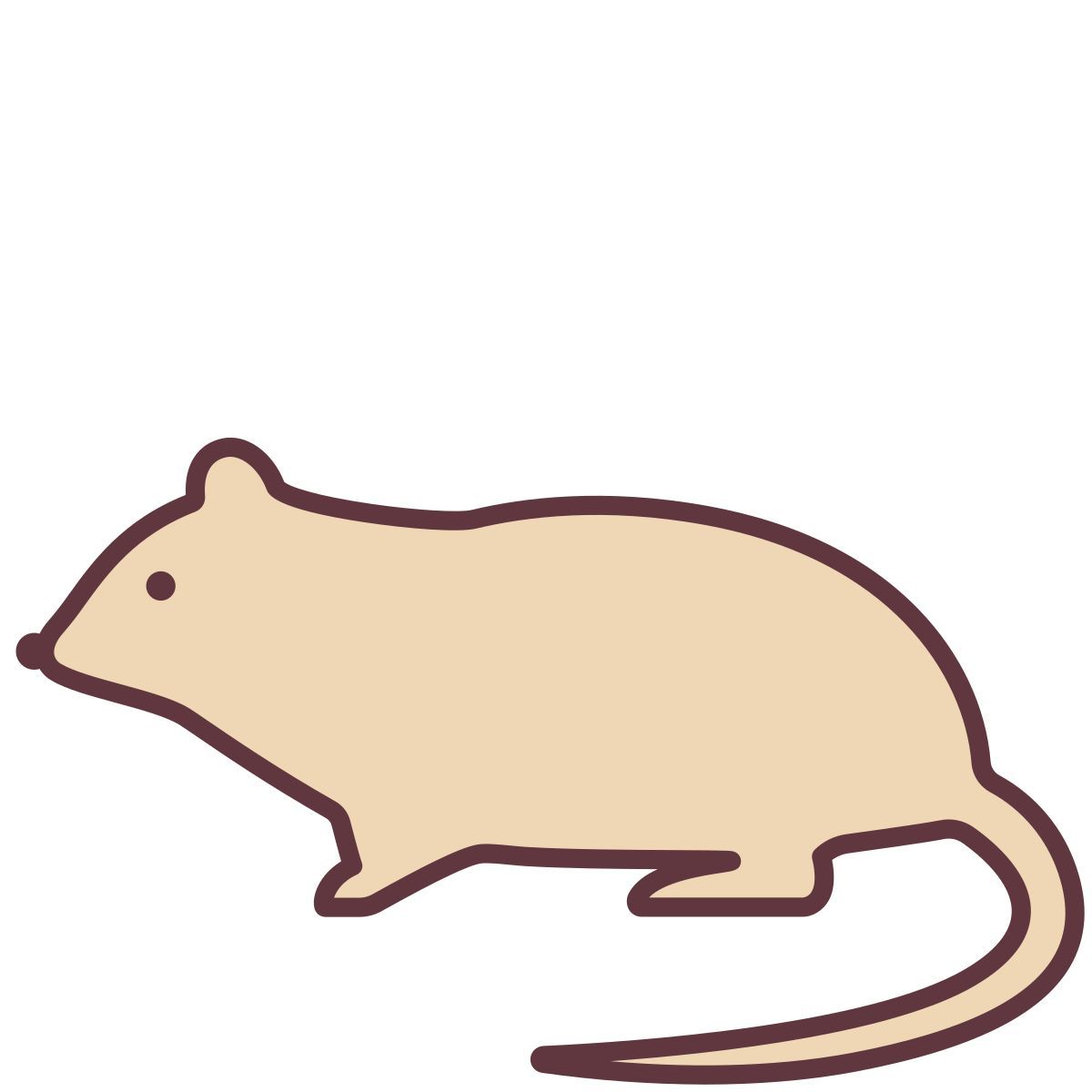 rat icon