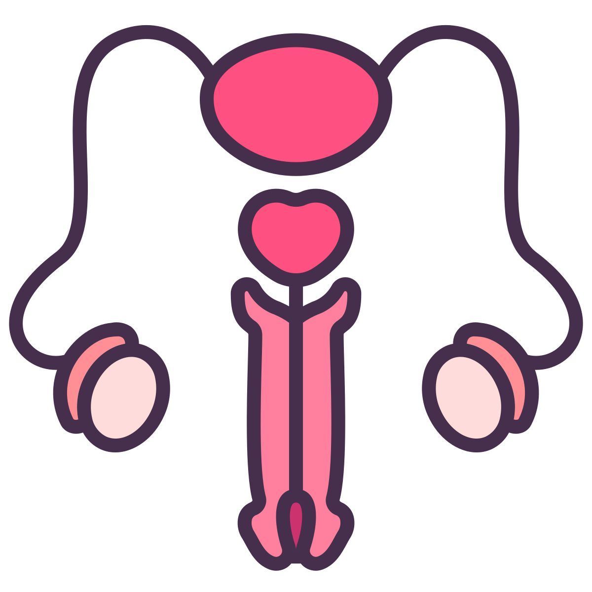 sistema reprodutivo icon