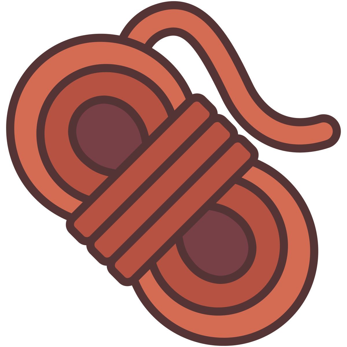 rope icon