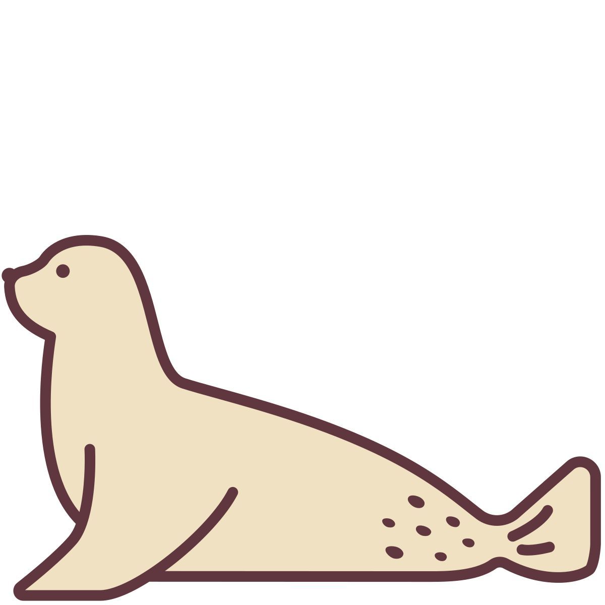 foca icon