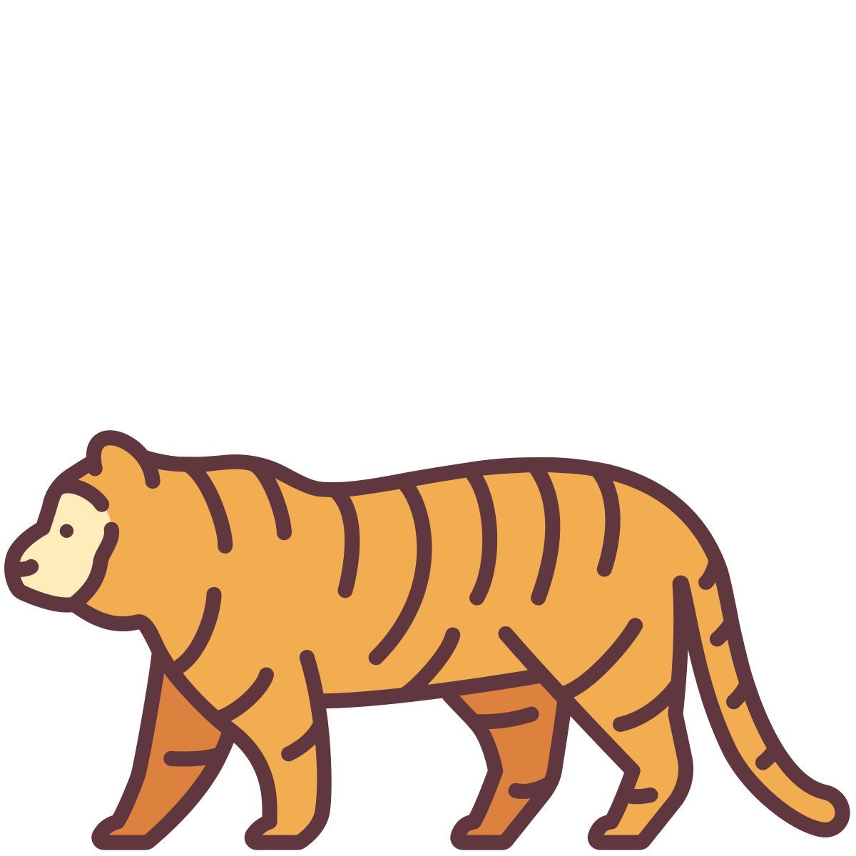 tiger icon