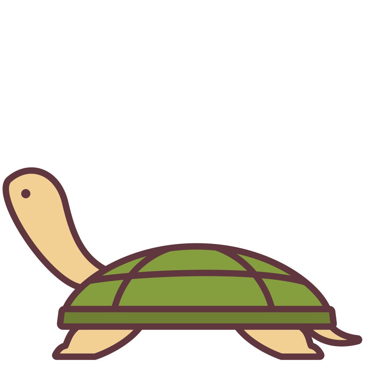 turtle icon