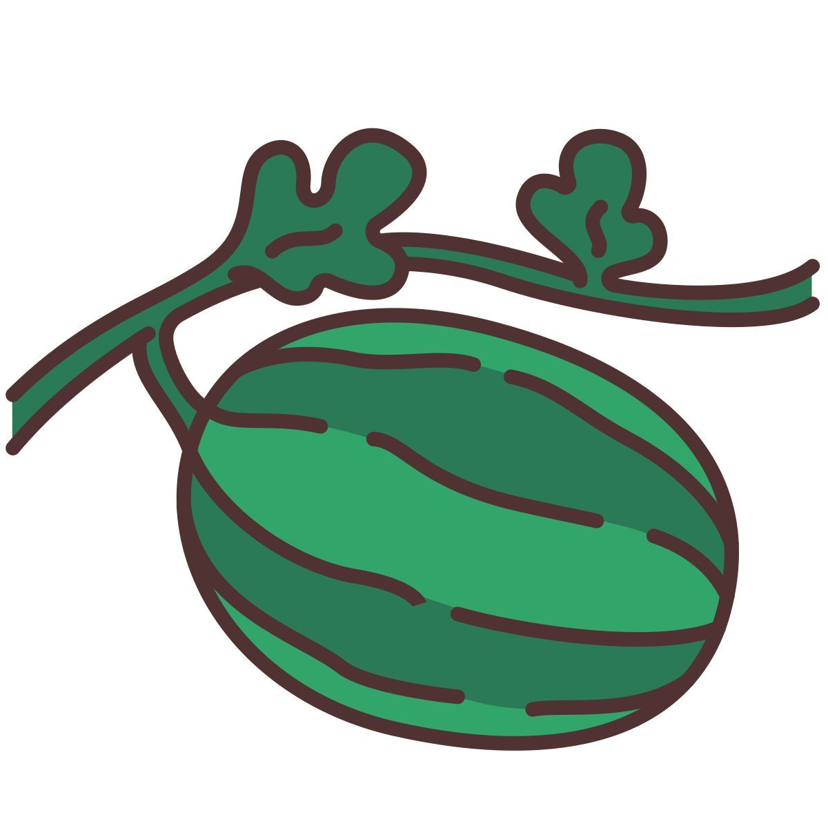 watermelon icon