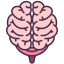external brain-internal-human-organs-victoruler-linear-colour-victoruler icon