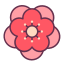 external flower-chinese-new-year-victoruler-linear-colour-victoruler icon