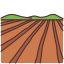 external land-farming-victoruler-linear-colour-victoruler icon