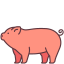 external pig-animals-victoruler-linear-colour-victoruler icon