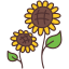 external sunflower-farming-victoruler-linear-colour-victoruler icon