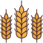 external wheat-farming-victoruler-linear-colour-victoruler icon