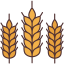 external wheat-farming-victoruler-linear-colour-victoruler icon