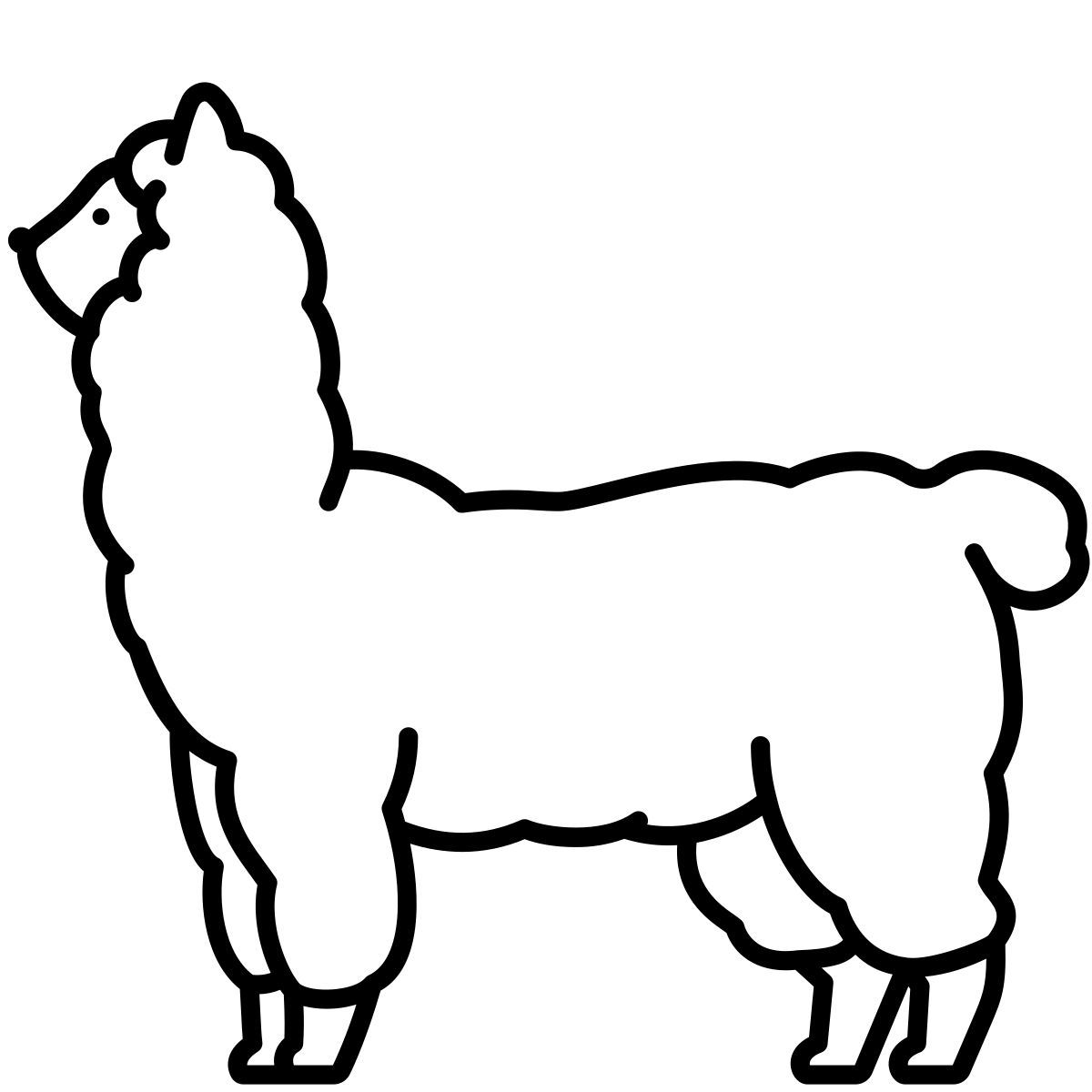 alpaca icon