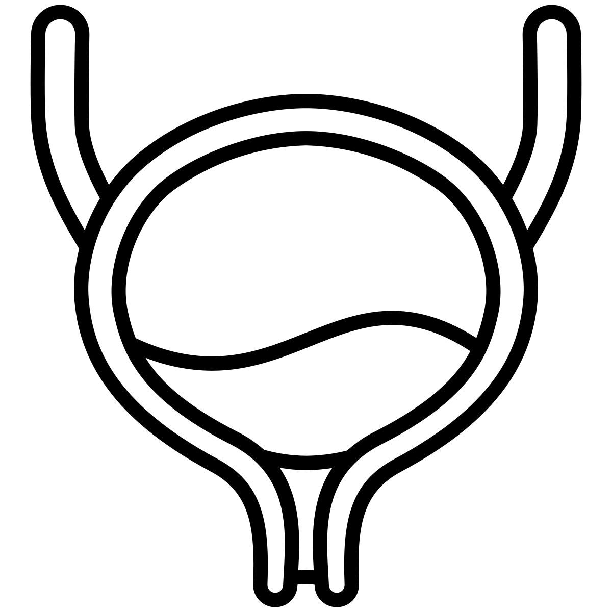 bladder icon