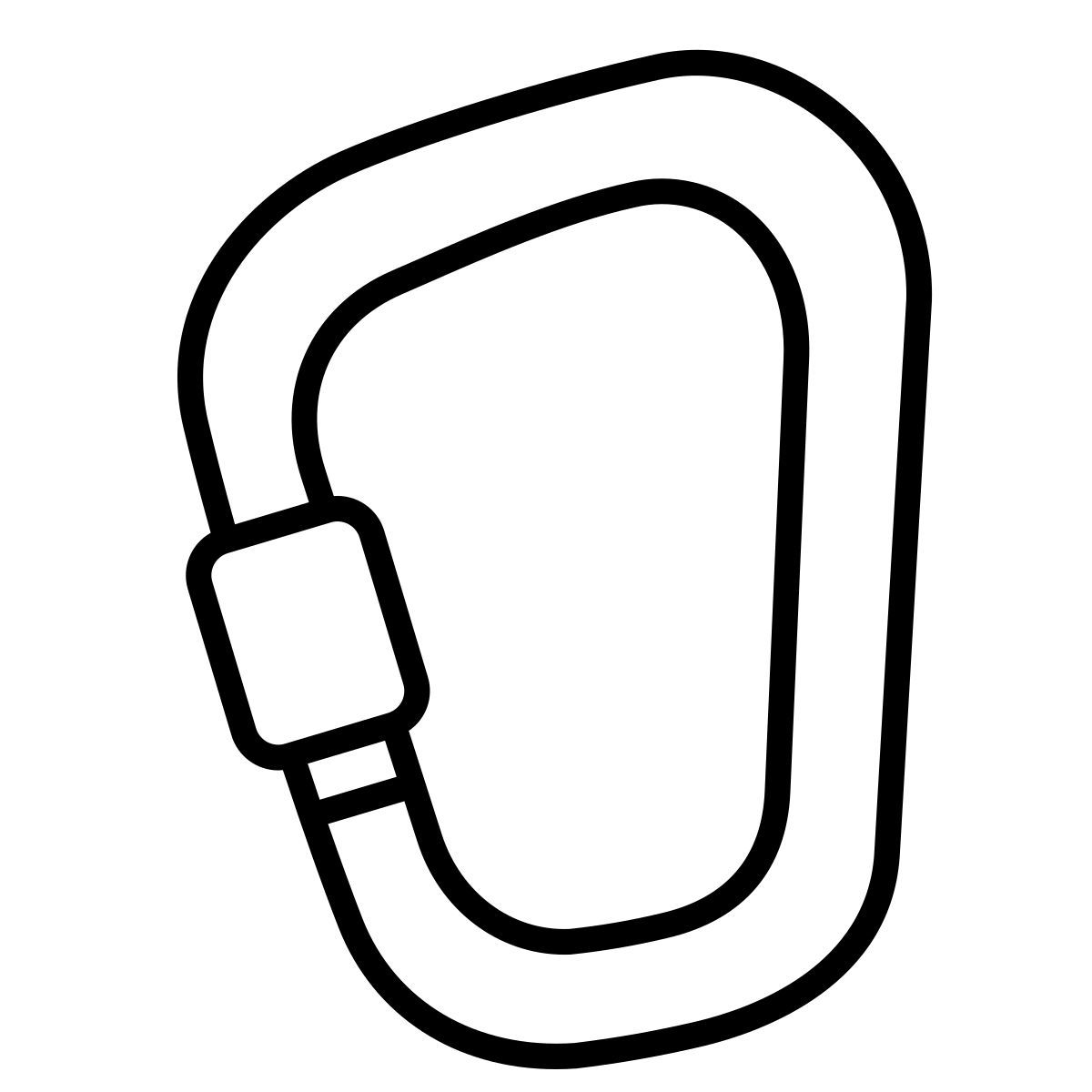 carabiner icon