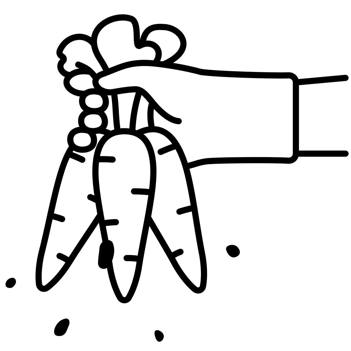 carrots icon
