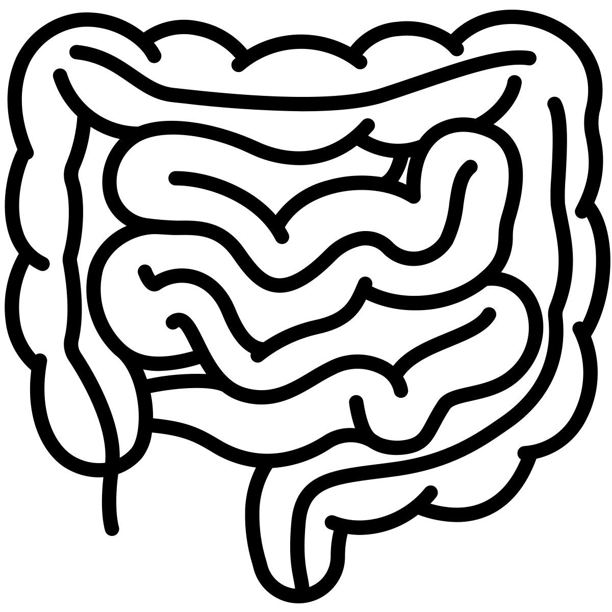 intestino icon