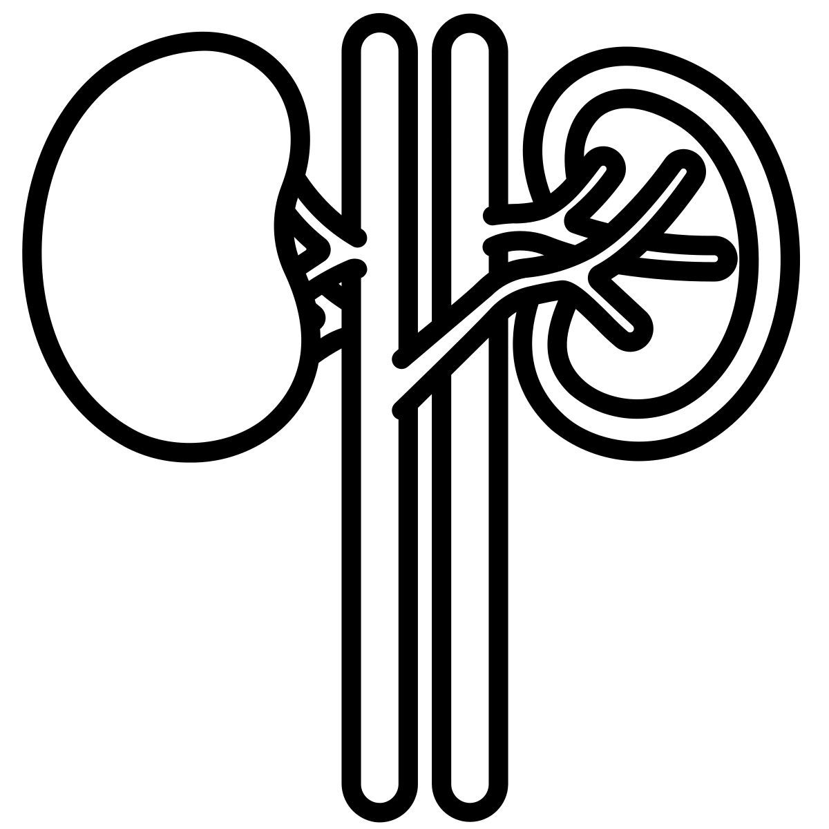 kidney icon